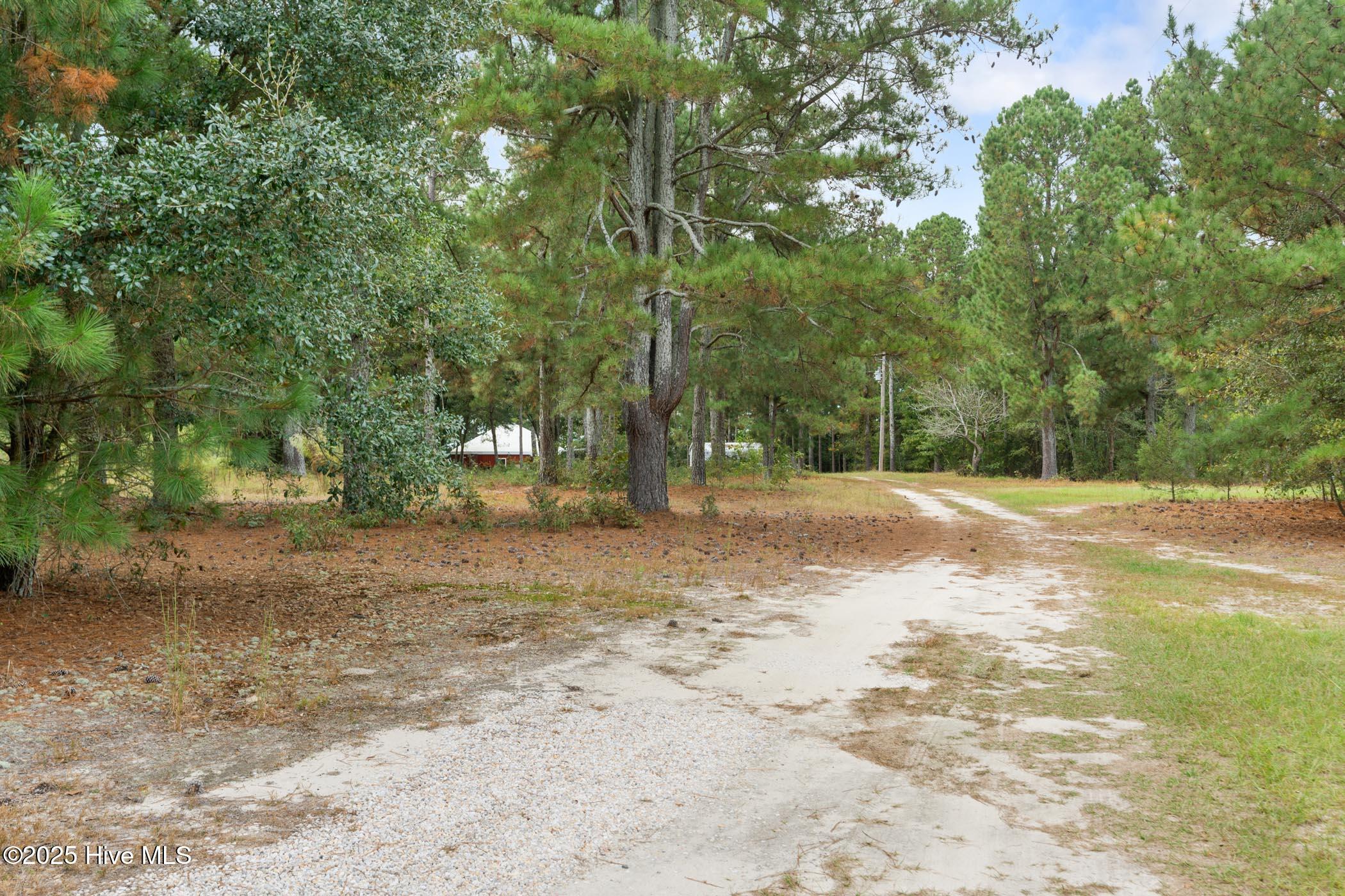 151 Godfrey Road Ellerbe, NC 28338 - Photo 16 of 38 A7402223