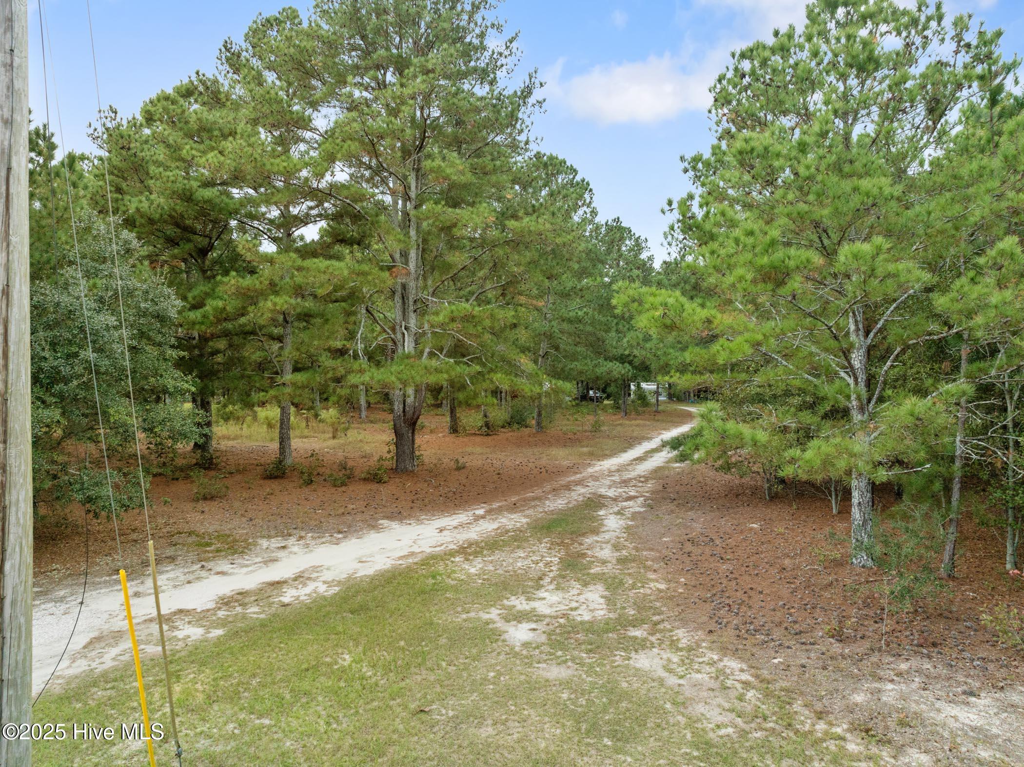 151 Godfrey Road Ellerbe, NC 28338 - Photo 27 of 38 DJI_0914