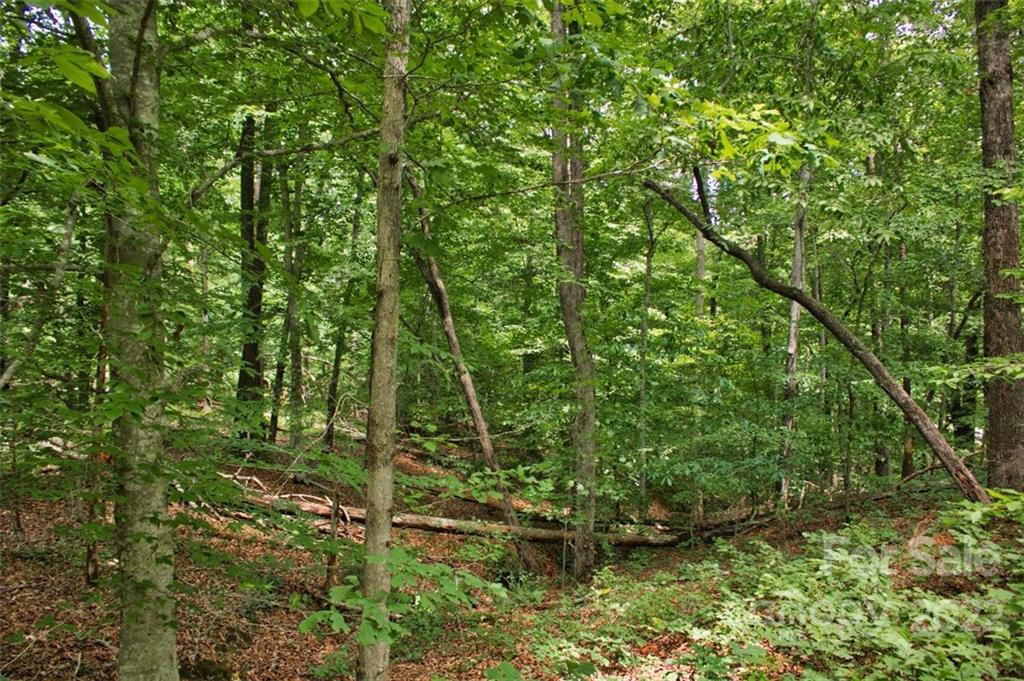 0 Midnight Pass, Unit 337 Rutherfordton, NC 28139 - Photo 2 of 5