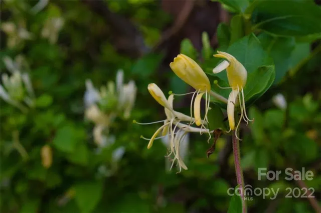 $27,000 | 0 Midnight Pass, Unit 337, Rutherfordton, NC 28139