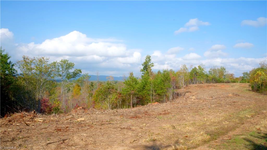 1600 Mountain View Church Road King, NC 27021 - Photo 14 of 45