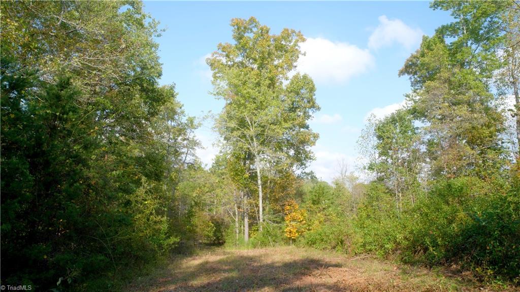 1600 Mountain View Church Road King, NC 27021 - Photo 22 of 45