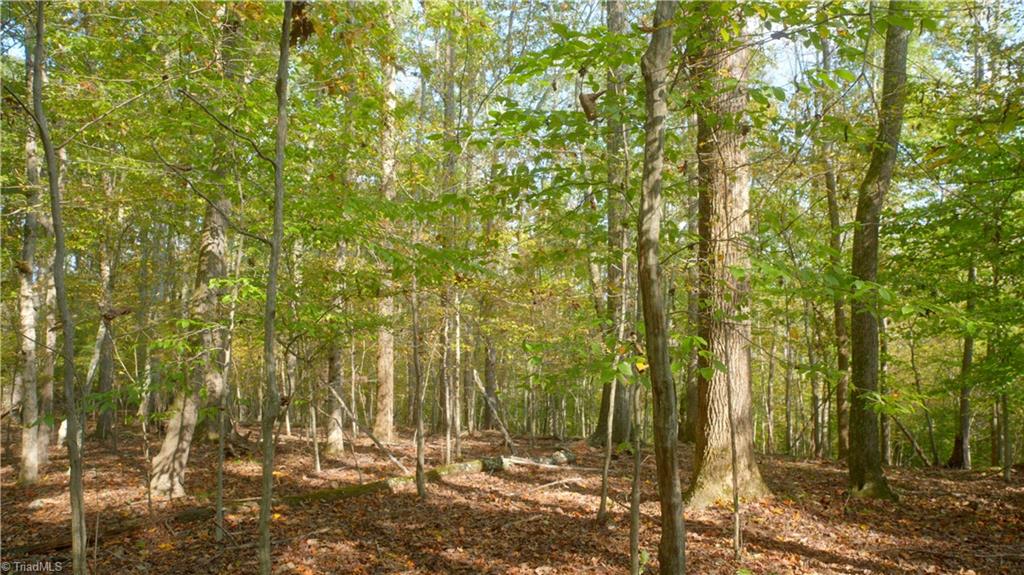 1600 Mountain View Church Road King, NC 27021 - Photo 23 of 45