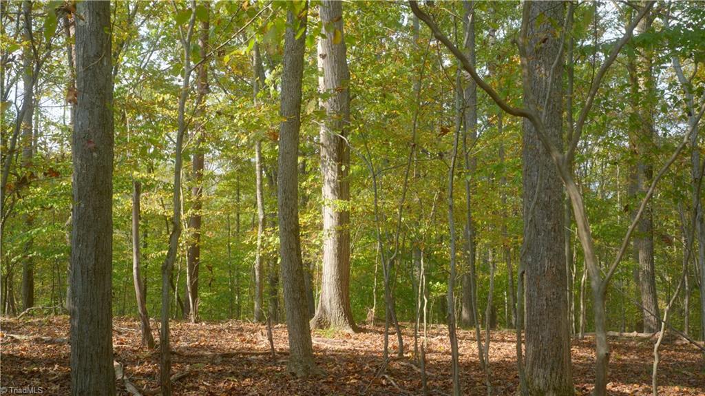 1600 Mountain View Church Road King, NC 27021 - Photo 29 of 45