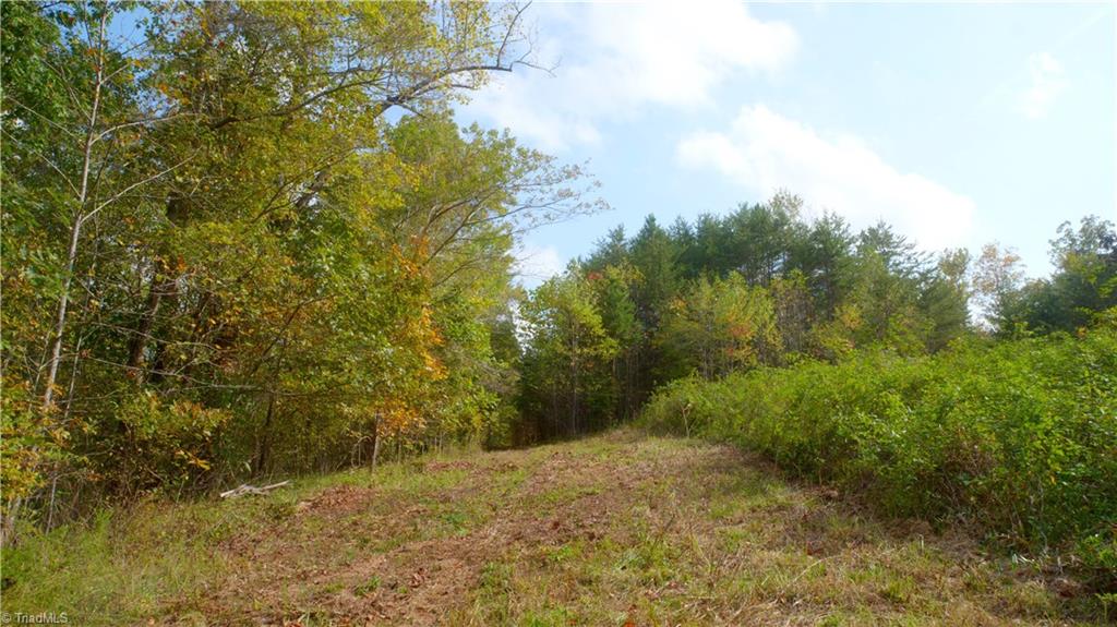 1600 Mountain View Church Road King, NC 27021 - Photo 33 of 45