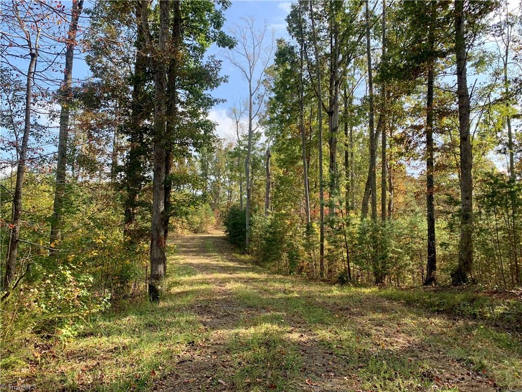1600 Mountain View Church Road King, NC 27021 - Photo 36 of 45