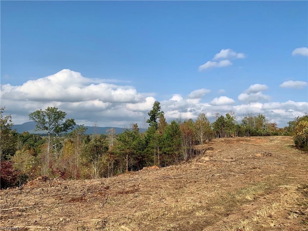 1600 Mountain View Church Road King, NC 27021 - Photo 38 of 45