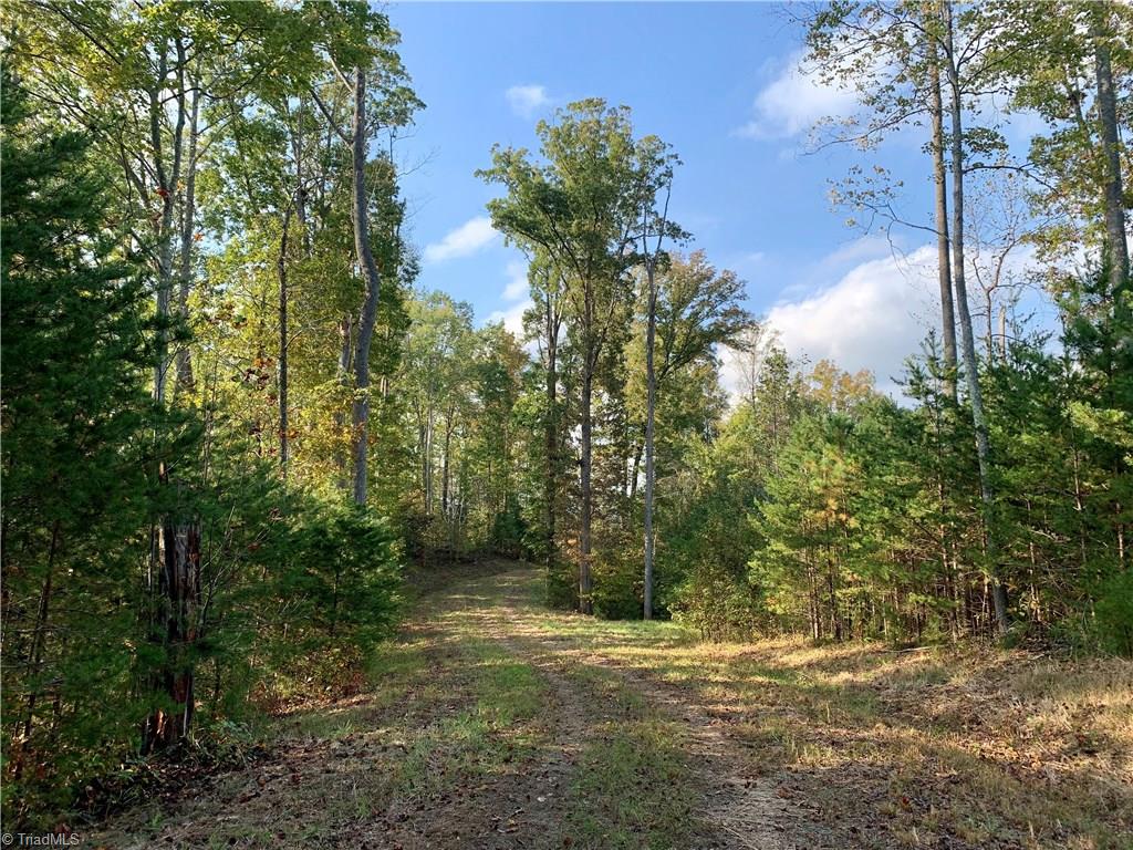 1600 Mountain View Church Road King, NC 27021 - Photo 41 of 45