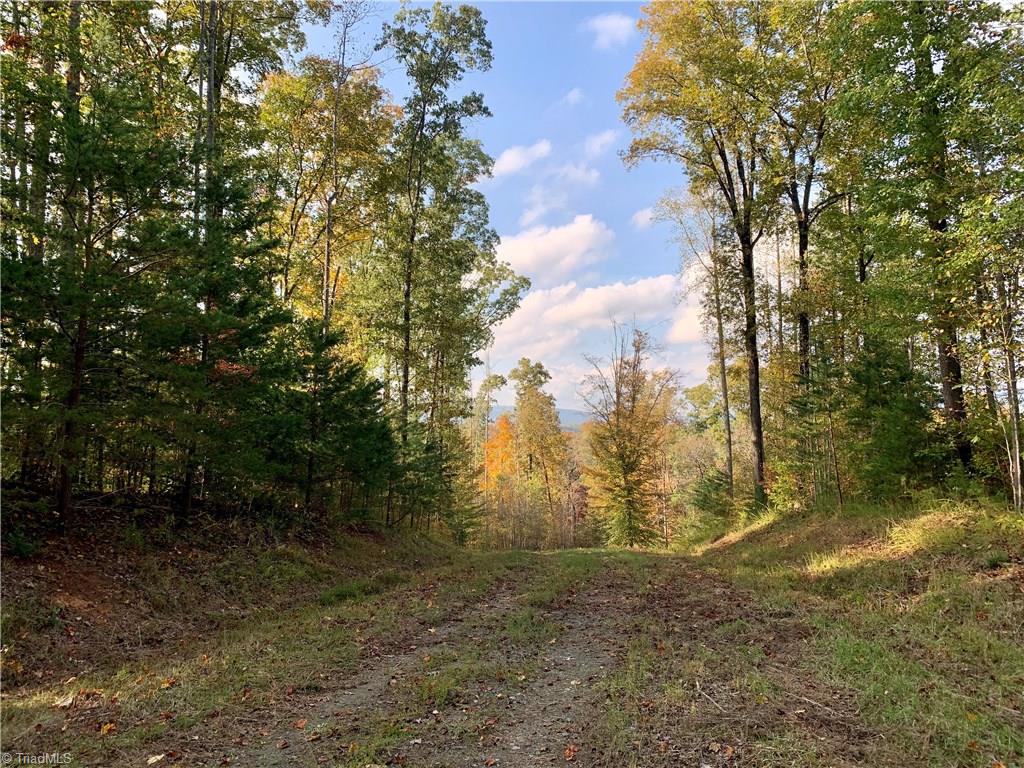 1600 Mountain View Church Road King, NC 27021 - Photo 42 of 45