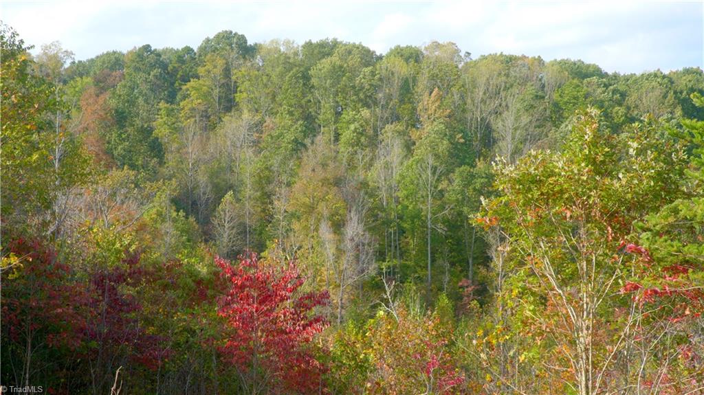 1600 Mountain View Church Road King, NC 27021 - Photo 9 of 45