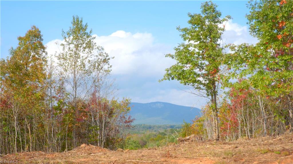 1600 Mountain View Church Road King, NC 27021 - Photo 10 of 45