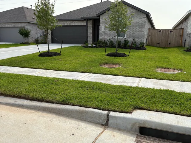 a view of a back yard