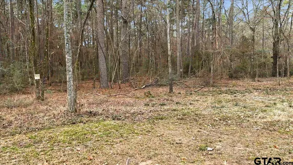 a view of a backyard of the house
