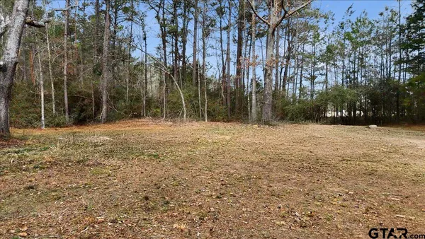 a view of outdoor space with trees