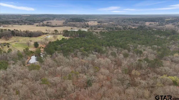 a view of city and mountain