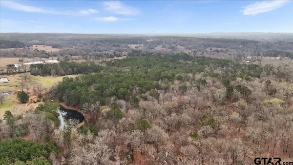 a view of city and mountain