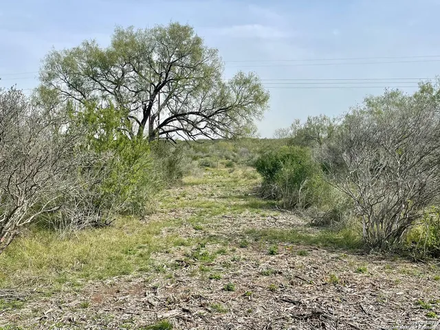 $32,500 | 191 County Road 1670, Moore, TX 78057