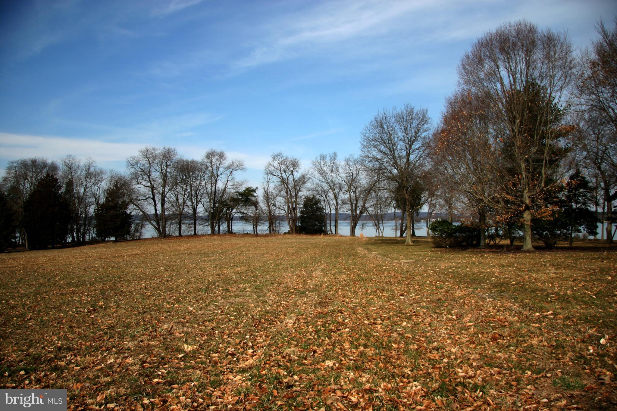0 Battery Point Road Earleville, MD 21919 - Photo 8 of 9 Lot view