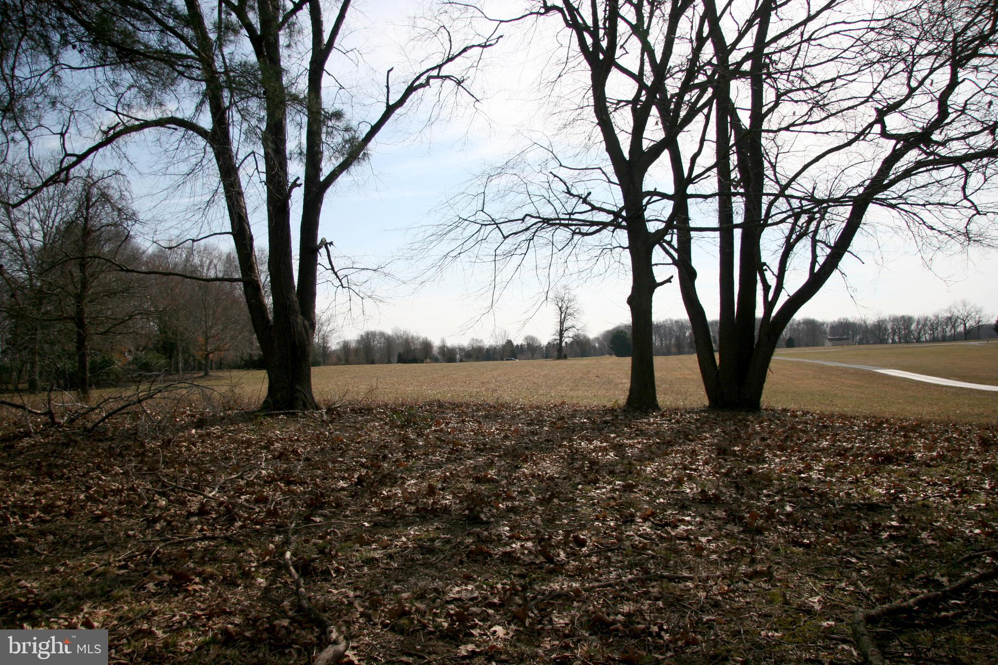 0 Battery Point Road Earleville, MD 21919 - Photo 9 of 9 Lot from home site looking southeast