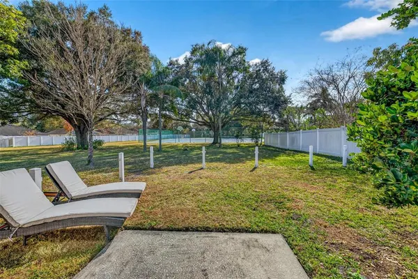 a view of a garden with plants