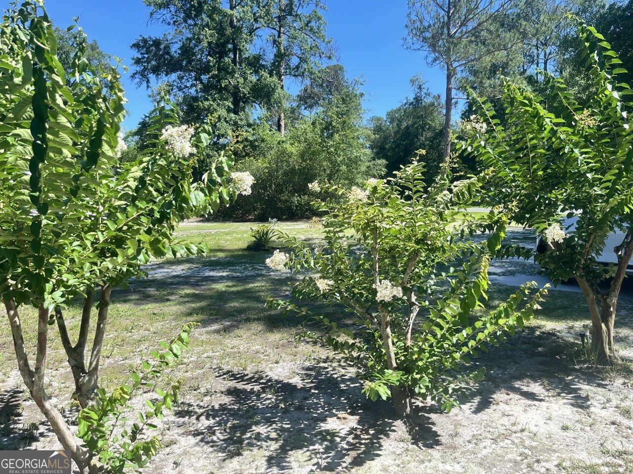 5670 West Main Street Patterson, GA 31557 - Photo 4 of 31