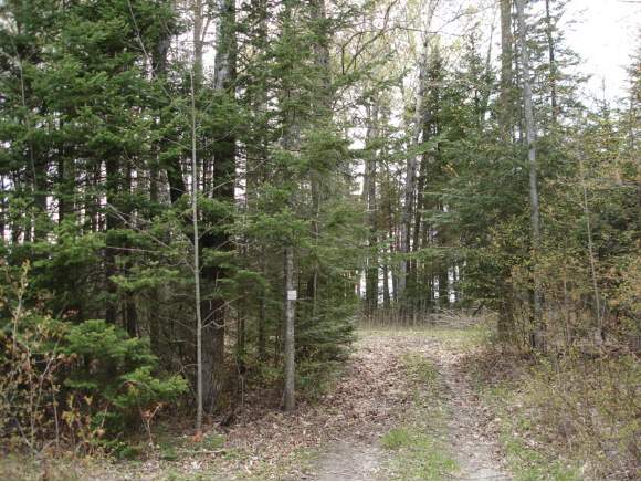 0 Peane Hill Road Newport, VT 05860 - Photo 1 of 1