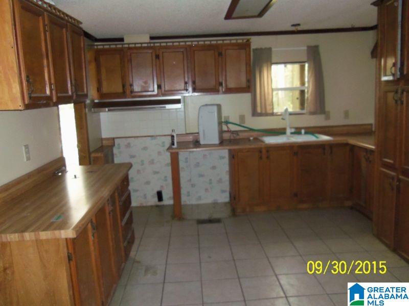190 Old Gnatville Road Piedmont, AL 36272 - Photo 6 of 21