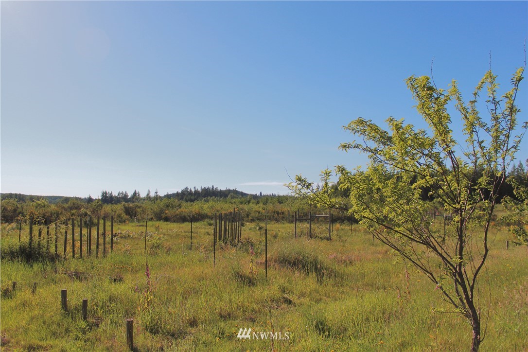 8170 Matlock-Brady Road Elma, WA 98541 - Photo 18 of 19 Gallery Image 18
