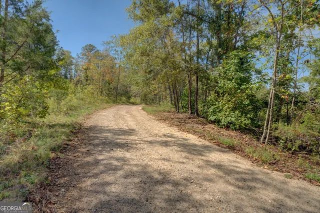 a view of road with large trees
