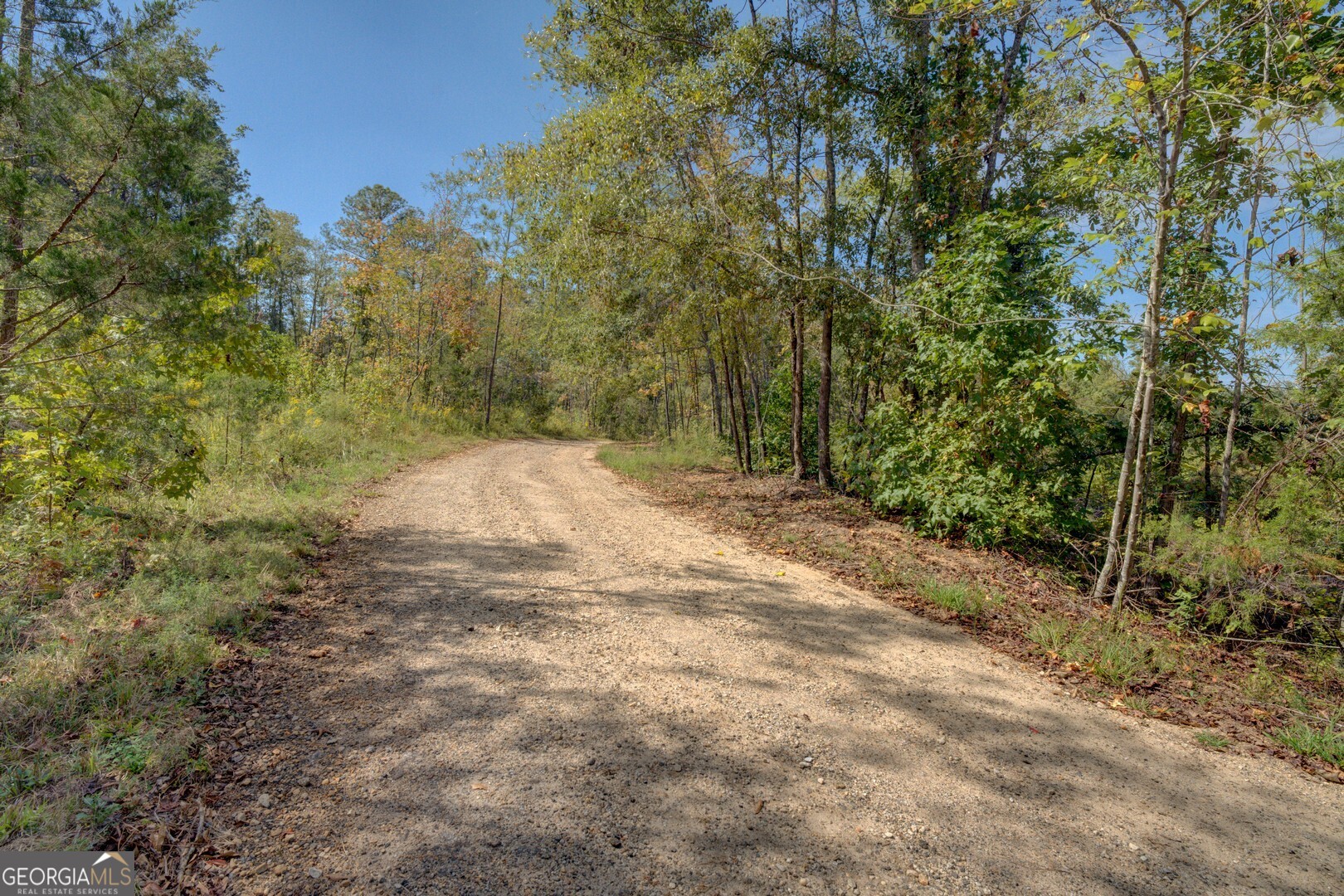 0 Rocky Creek Road Mansfield, GA 30055 - Photo 1 of 12 a view of road with large trees