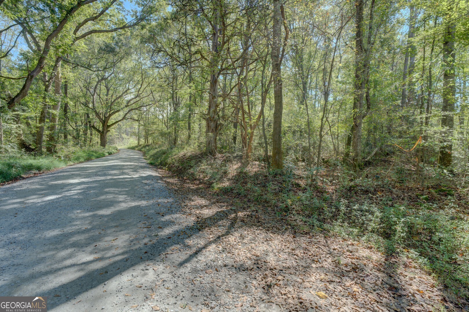 0 Rocky Creek Road Mansfield, GA 30055 - Photo 11 of 12 a view of outdoor space and green space