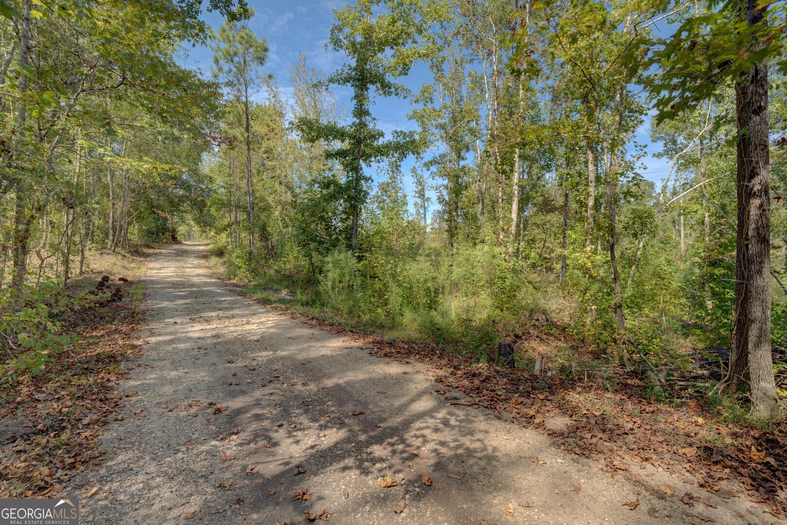 0 Rocky Creek Road Mansfield, GA 30055 - Photo 2 of 12 a view of a dirt road with trees
