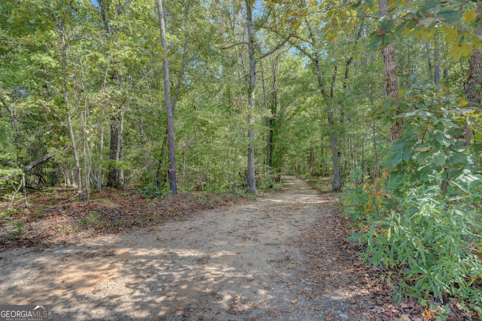 0 Rocky Creek Road Mansfield, GA 30055 - Photo 4 of 12 a view of a forest with trees in the background