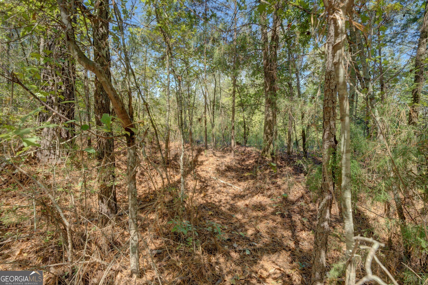0 Rocky Creek Road Mansfield, GA 30055 - Photo 5 of 12 a view of a yard with a tree