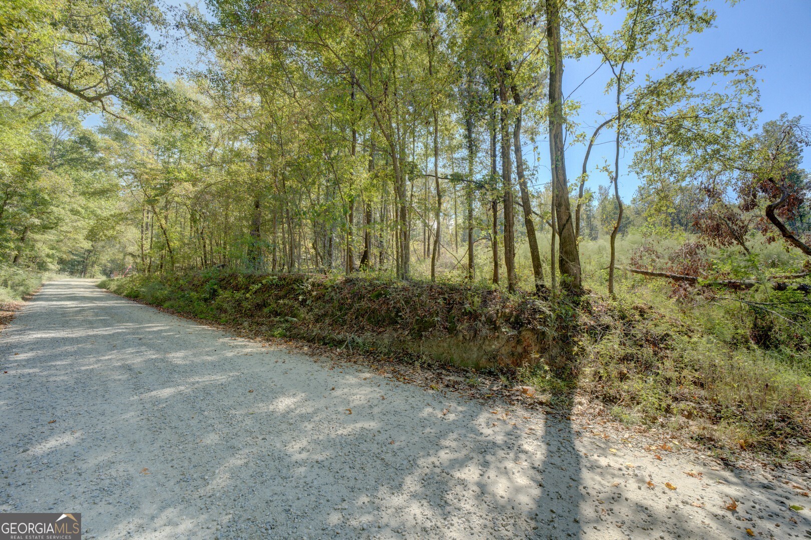 0 Rocky Creek Road Mansfield, GA 30055 - Photo 6 of 12 a view of backyard with green space