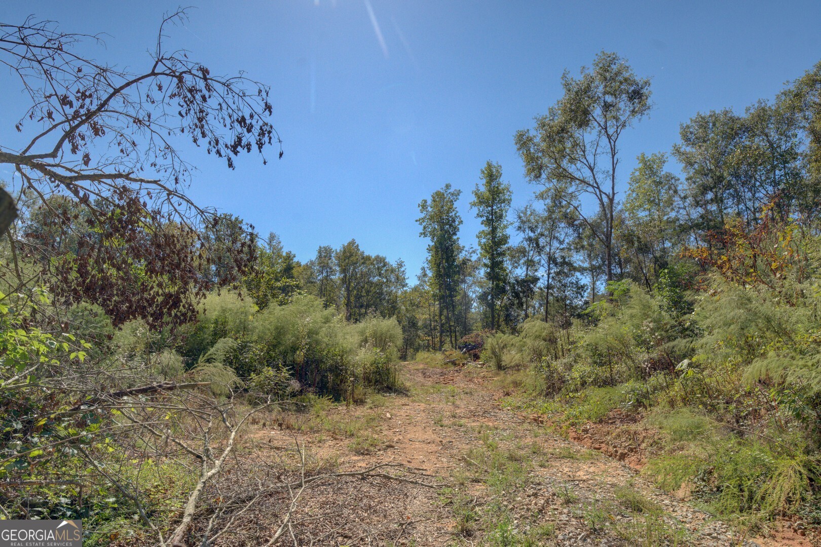 0 Rocky Creek Road Mansfield, GA 30055 - Photo 8 of 12 a view of a yard with trees