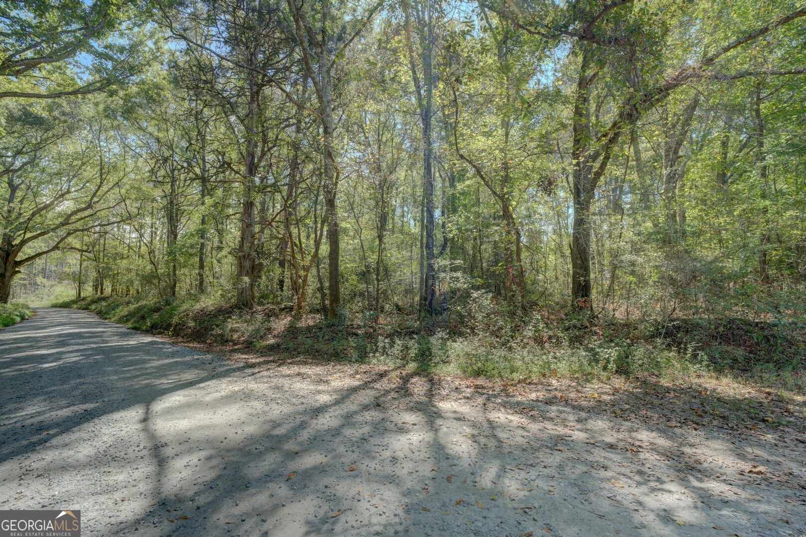 0 Rocky Creek Road Mansfield, GA 30055 - Photo 9 of 12 a view of outdoor space and view of trees
