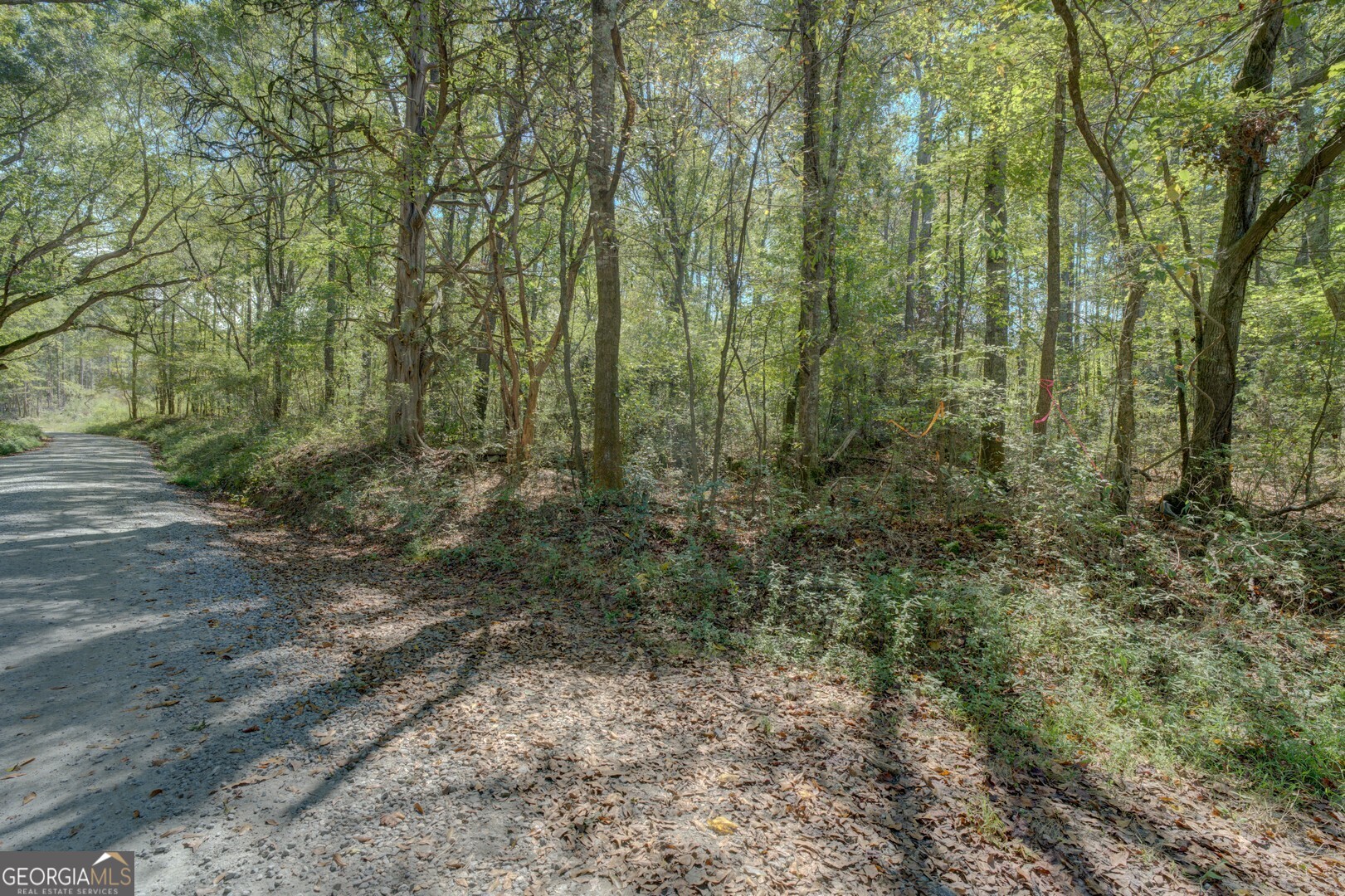 0 Rocky Creek Road Mansfield, GA 30055 - Photo 10 of 12 a view of a forest with trees in the background
