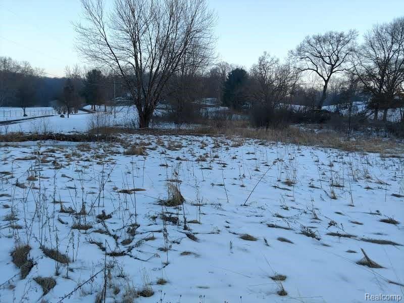 19756 Ivey Road Chelsea, MI 48118 - Photo 4 of 6