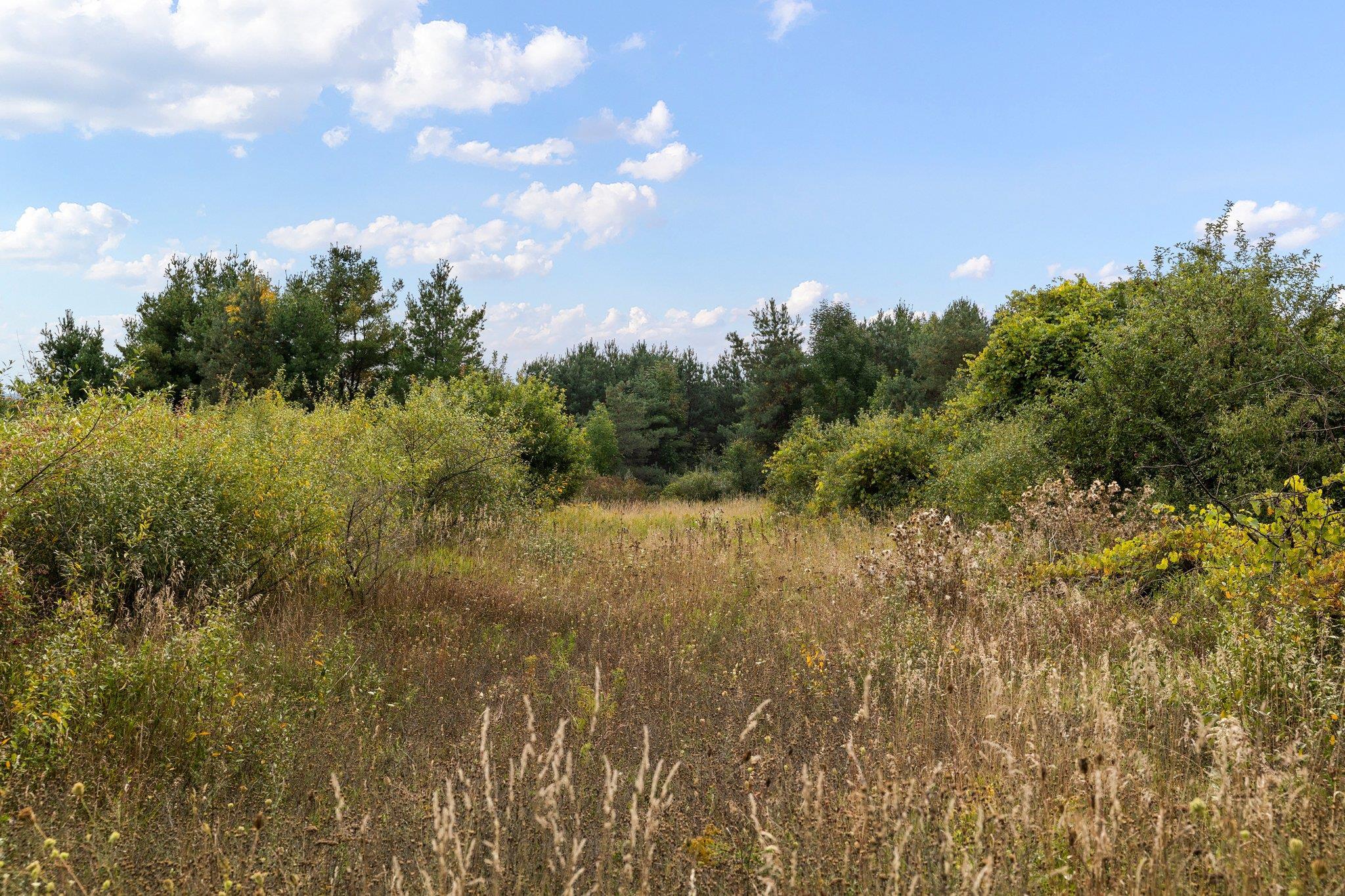 Lot 5 Sutter Road, Unit LOT: 5 Kewadin, MI 49648 - Photo 26 of 41 Gallery Image 26