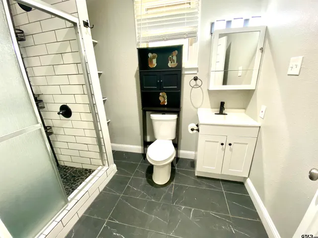 a bathroom with a sink a toilet and a shower