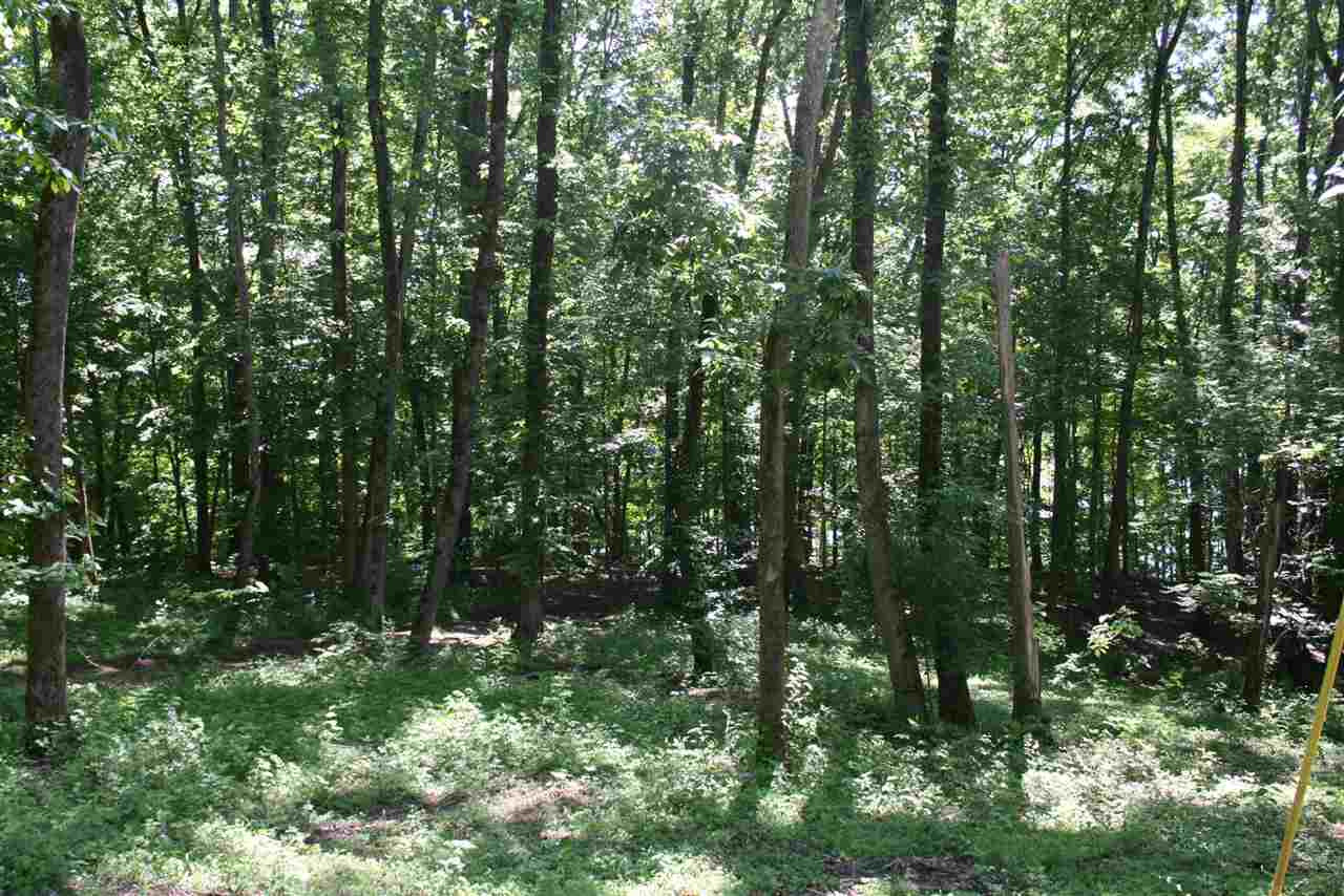 0 Poplar Ridge Parsons, TN 38363 - Photo 3 of 6 a view of forest