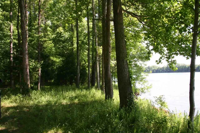 a view of backyard with green space