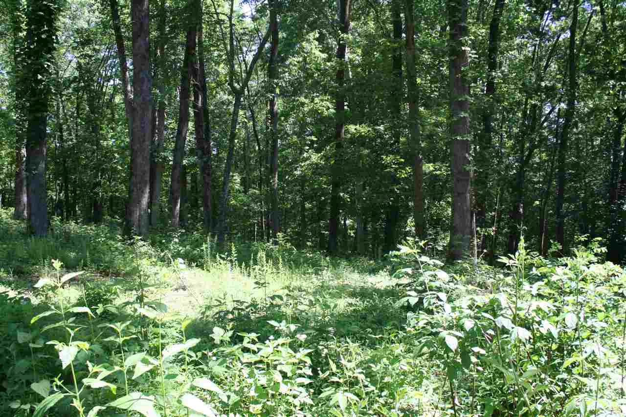 0 Poplar Ridge Parsons, TN 38363 - Photo 5 of 6 a view of a lush green forest