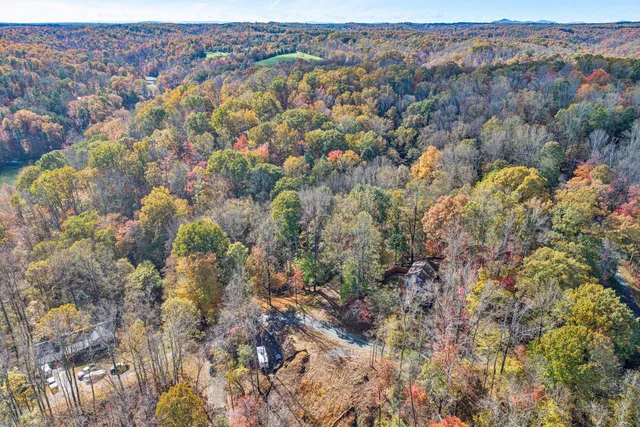 a view of backyard with large tree