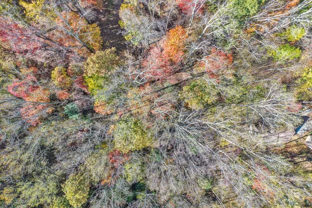 a view of city and mountain