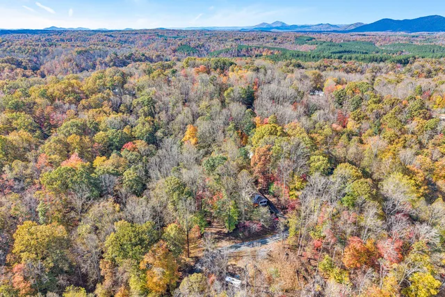 a view of yard with tree in the background