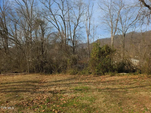 $184,900 | 1749 US Highway 23 South, Weber City, VA 24290