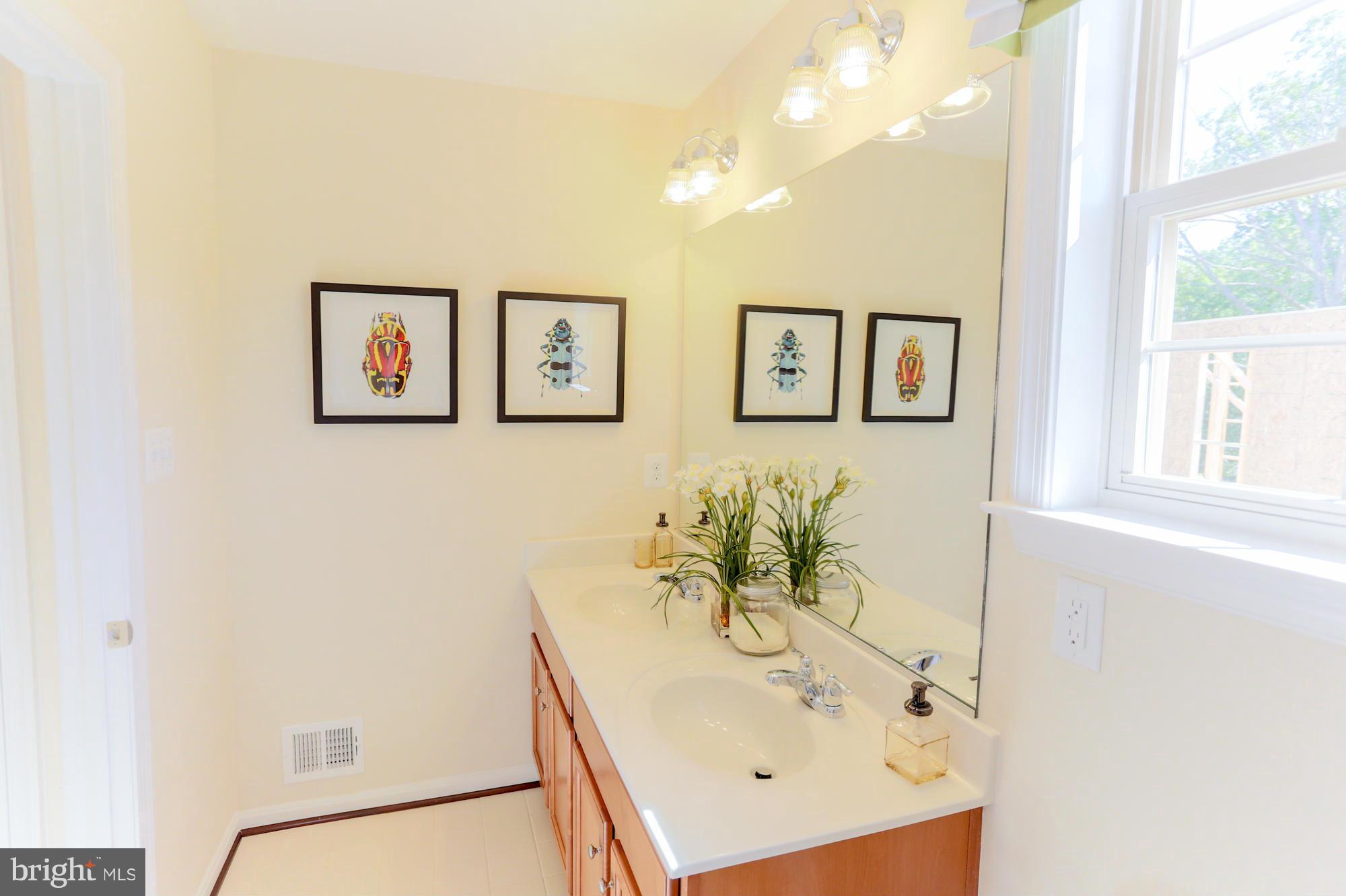 8175 Ridgely Loop Severn, MD 21144 - Photo 17 of 30 Hall Bath (model photos)