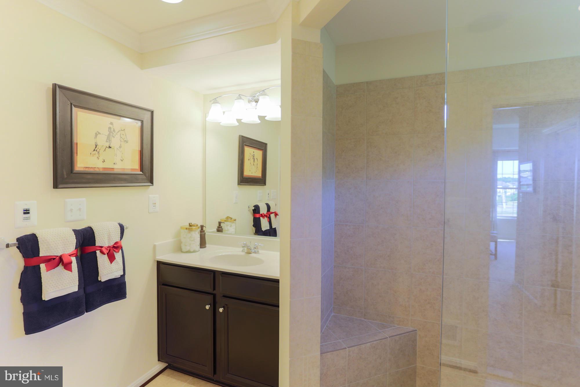 8175 Ridgely Loop Severn, MD 21144 - Photo 23 of 30 Bath (Master) (model photos)